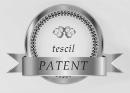 patent2